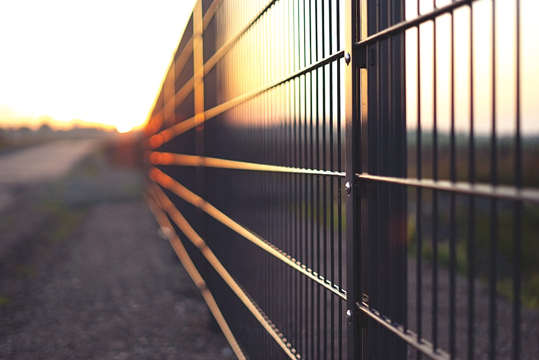 Welded wire mesh is the secure choice for catio walls
