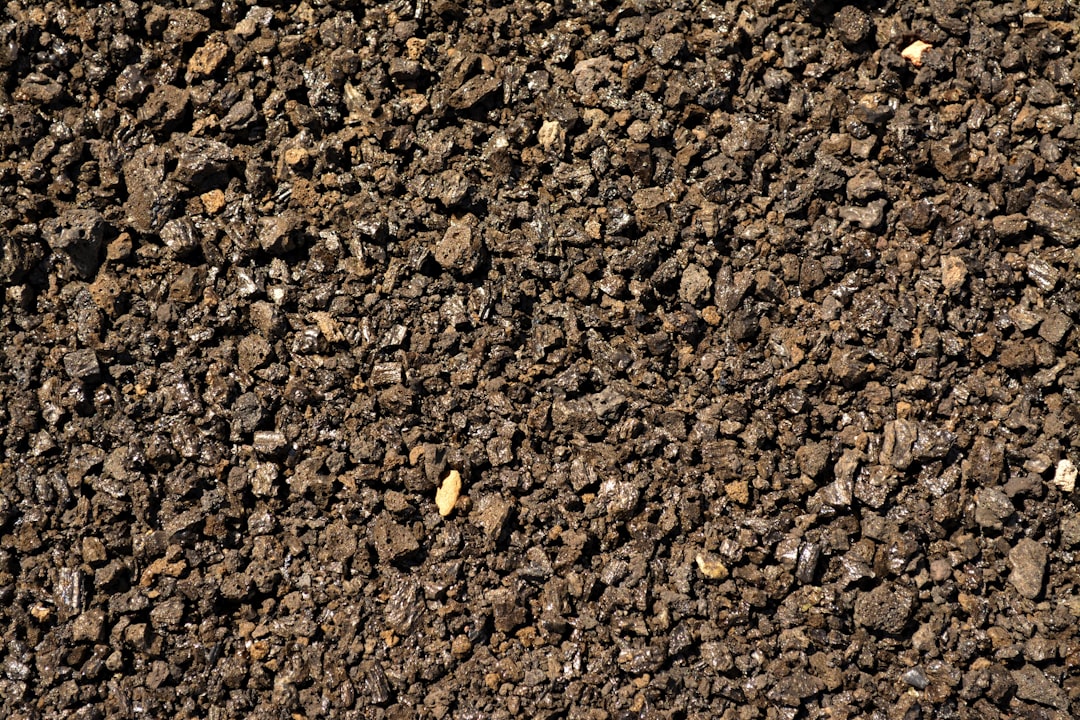 Fine-grained clumping clay litter, the substrate most cats prefer