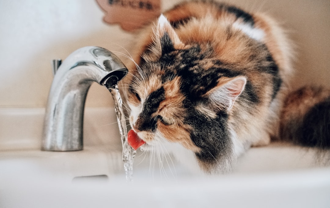 Water access matters in Coalinga extreme summer heat