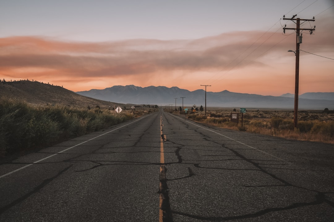 The long drive from Coalinga to the nearest cat shelters