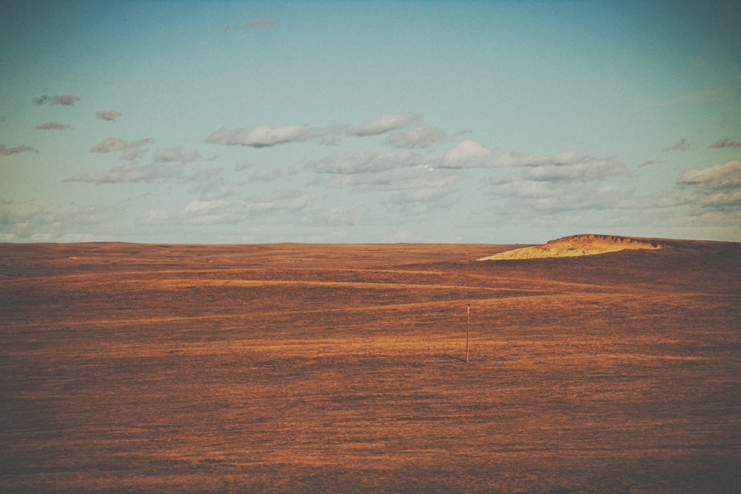 The west side of Fresno County around Coalinga