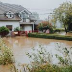 Flooded ground of the kind that displaces community cats