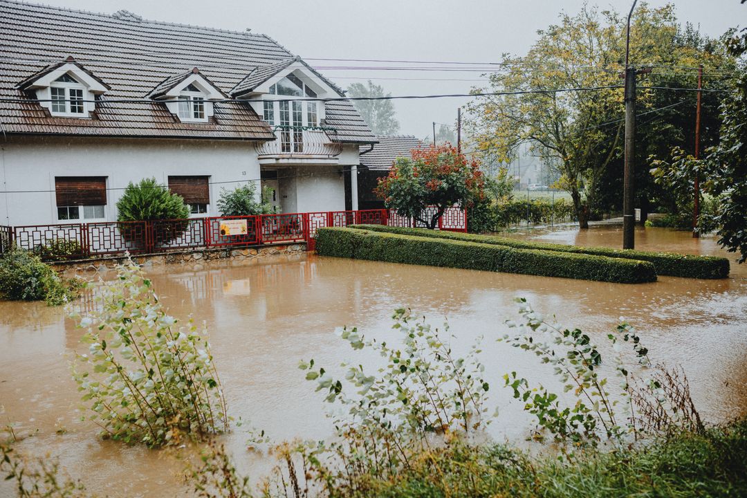 Flooded ground of the kind that displaces community cats