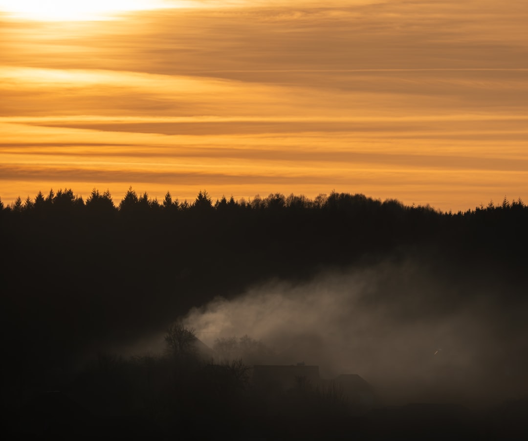 Wildfire smoke over rural Central Valley land where colonies live