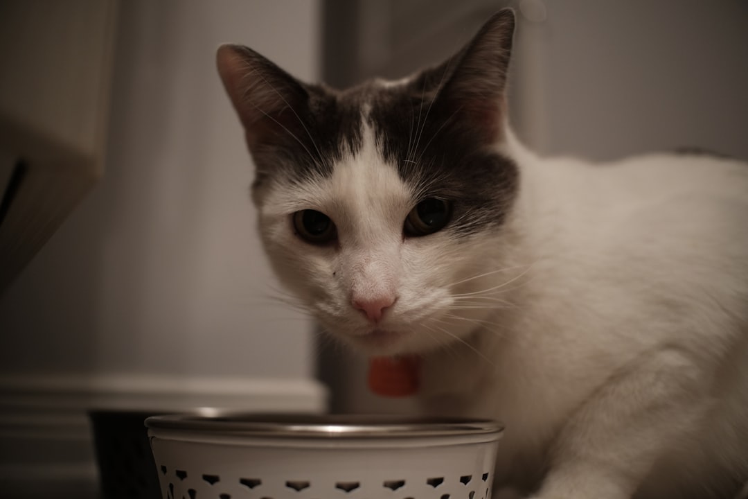 Competition at the feeding station signals a site over capacity
