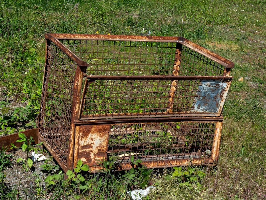 A large confinement crate used during the acclimation period after relocation