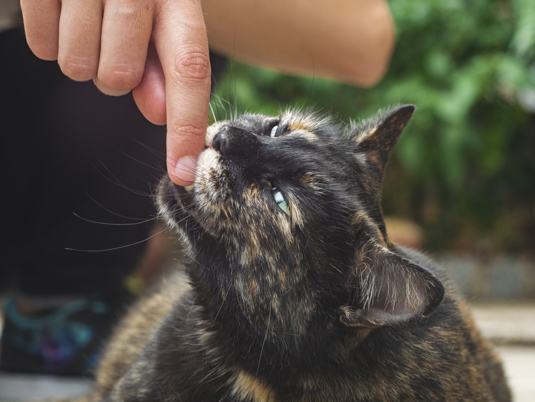 Daily medication is the most common treatment for hyperthyroidism