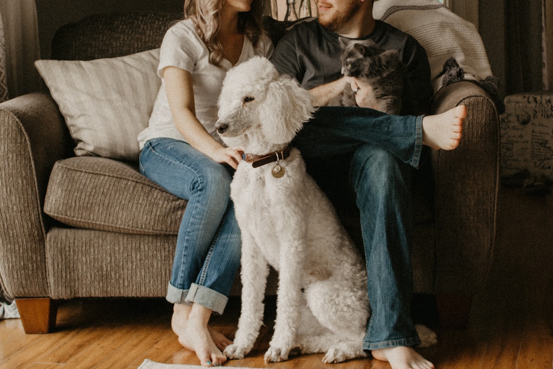 A family choosing an adoptable cat together near Dinuba