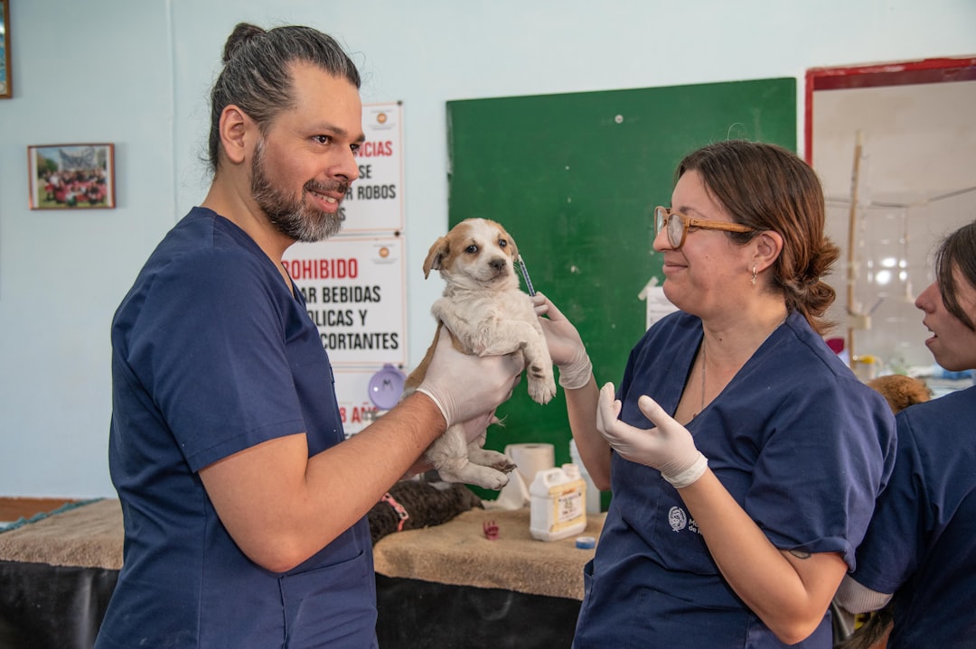 An emergency veterinary team treating a cat in Fresno