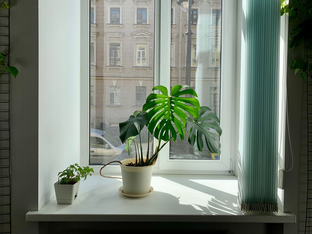 A HEPA air purifier, one of the more effective allergen control measures