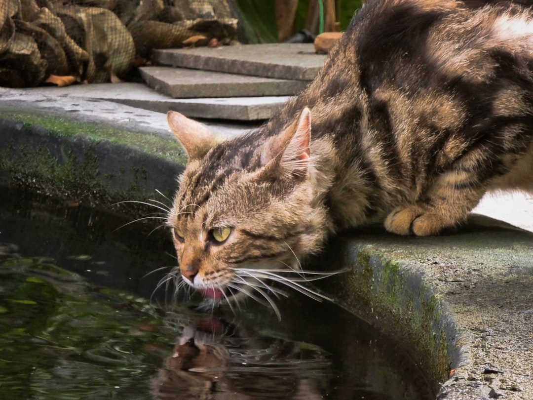 Dehydration is the main risk with ongoing diarrhoea