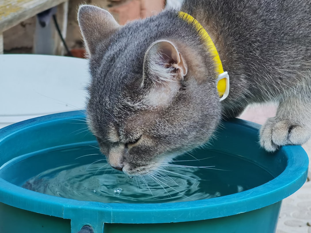 Water intake is central to preventing constipation