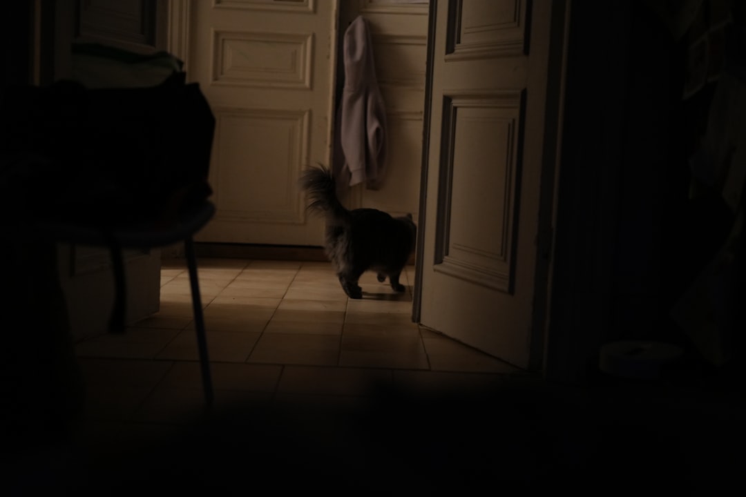Confining an affected cat to one easily cleaned room