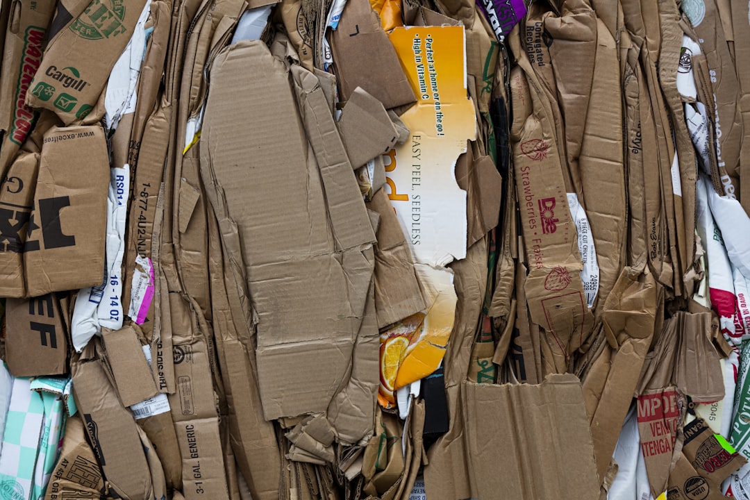 Daily litter box hygiene reduces reinfection risk