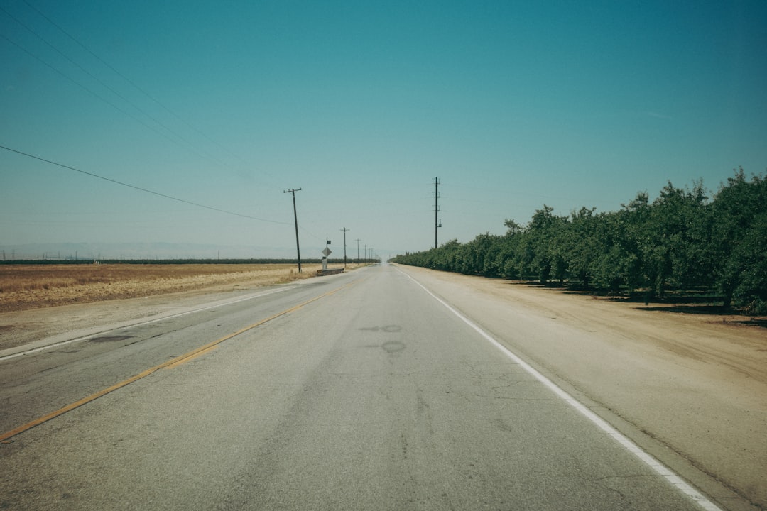 The drive from Los Banos to the Merced County animal shelter in Atwater