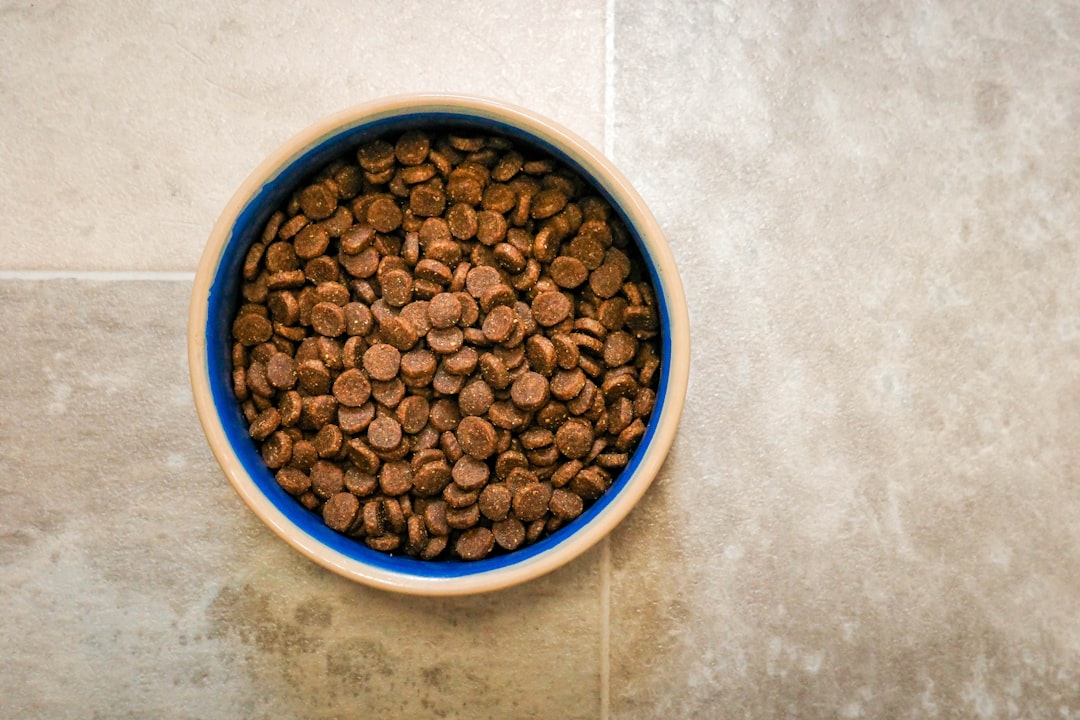 Low-carbohydrate wet food is central to managing feline diabetes
