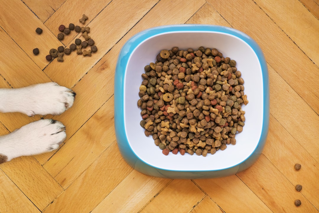 Smaller measured portions reduce vomiting from fast eating