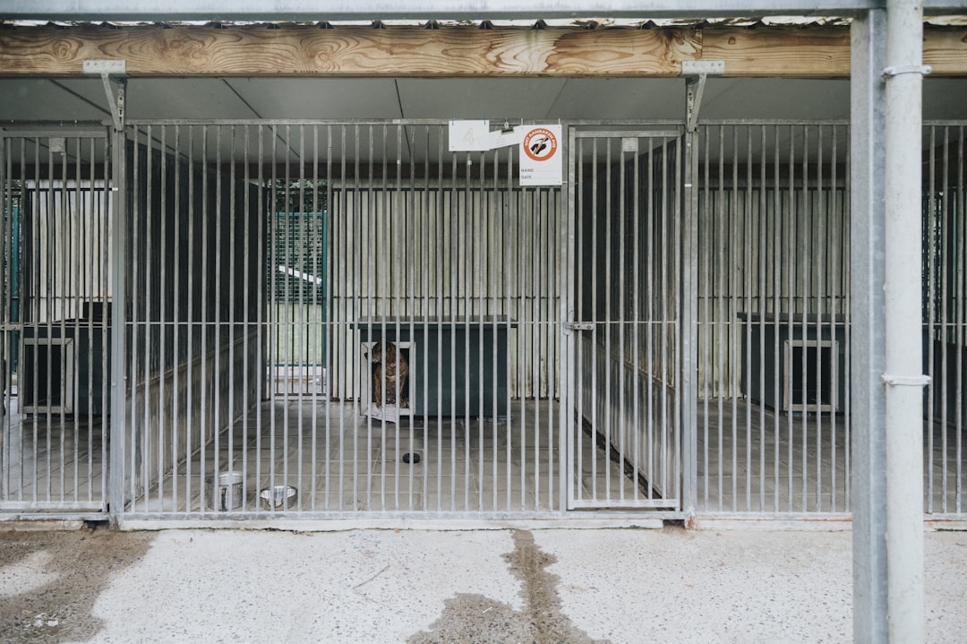 The Merced County Animal Shelter located in Atwater