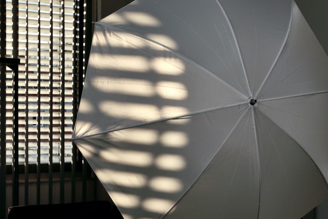 Soft natural window light, the best free lighting for cat photos