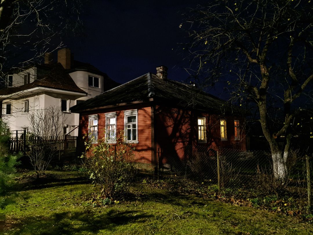Trapping after dark, when wary cats are most active