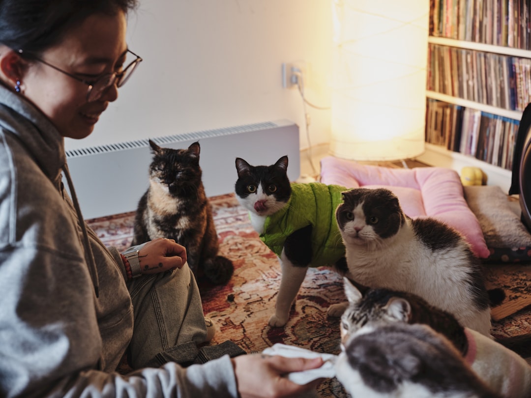 A pet sitter visiting a cat at home