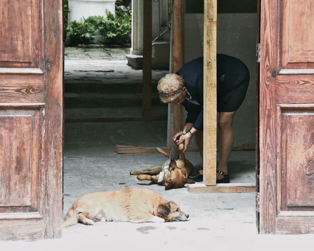 The Porterville Animal Shelter, which serves the city directly