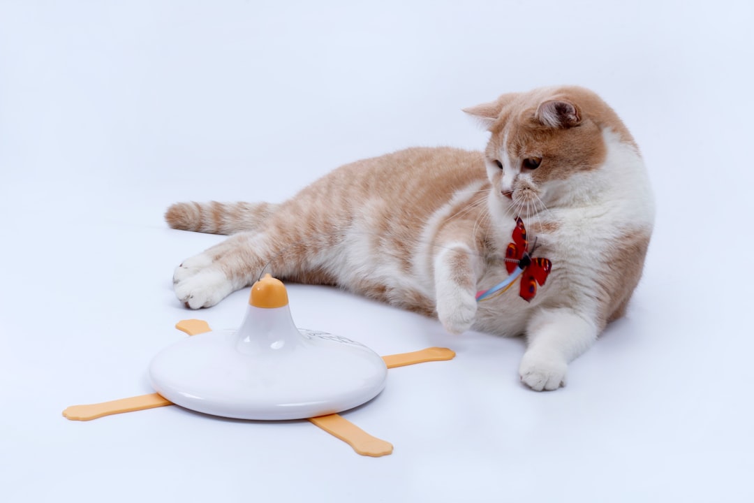 A puzzle feeder adds foraging effort to meals