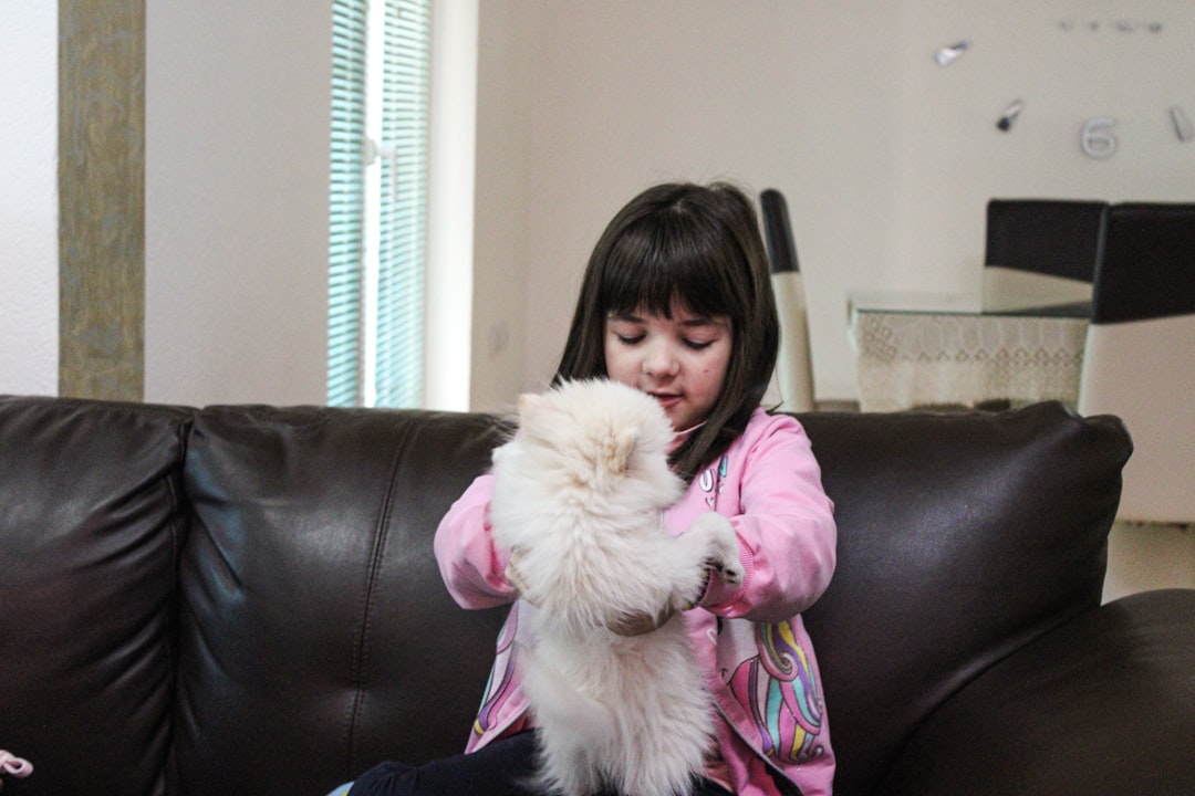 Adoption day for a rescued cat meeting its new owner