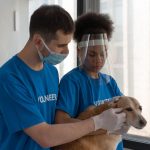 A volunteer handling a cat safely with appropriate technique