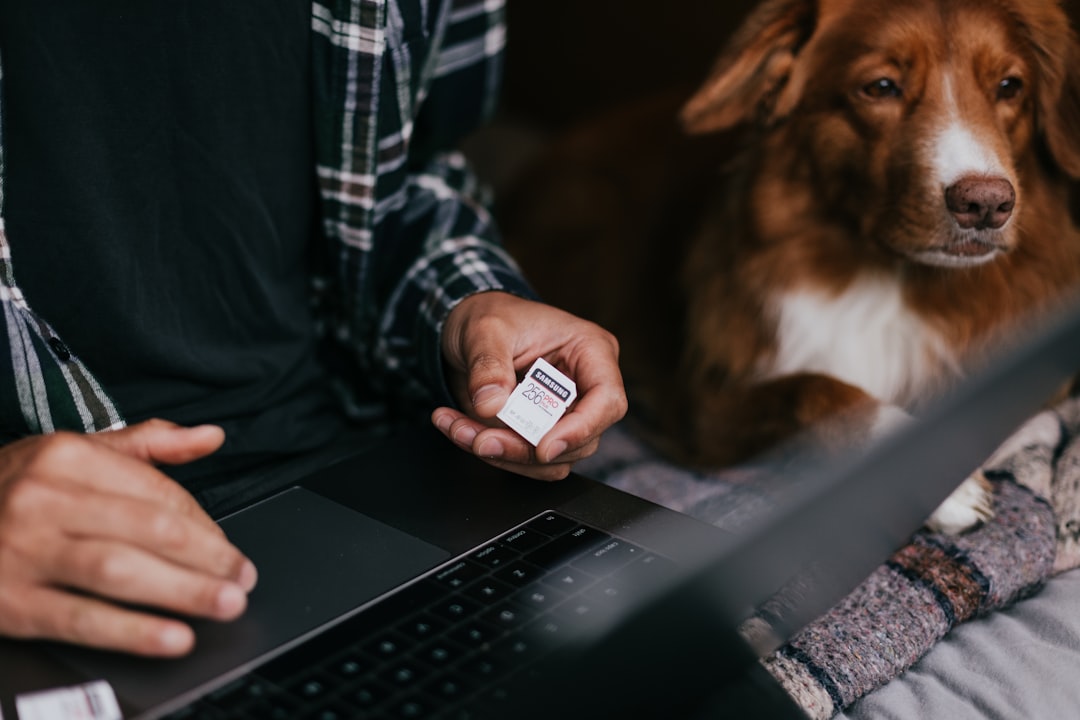 Scanning for a microchip is the first step with a friendly cat