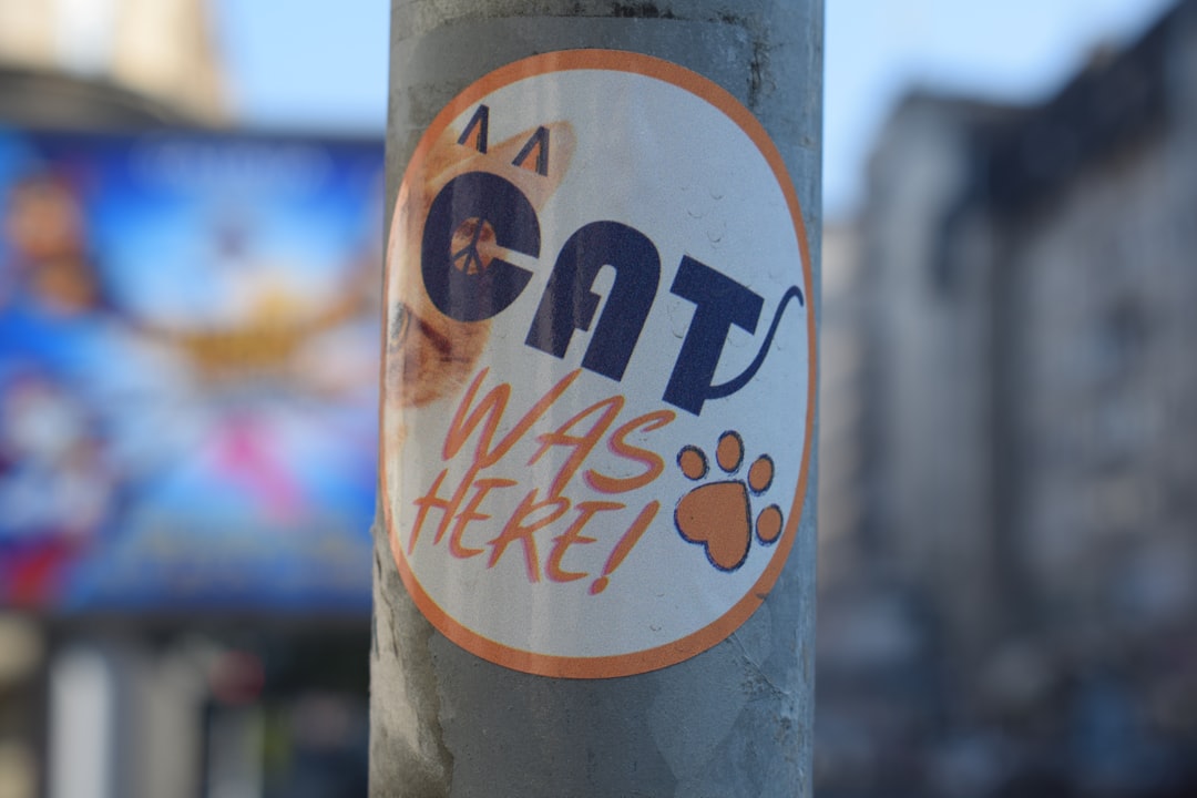 Posting locally is the first step when a cat goes missing in Selma