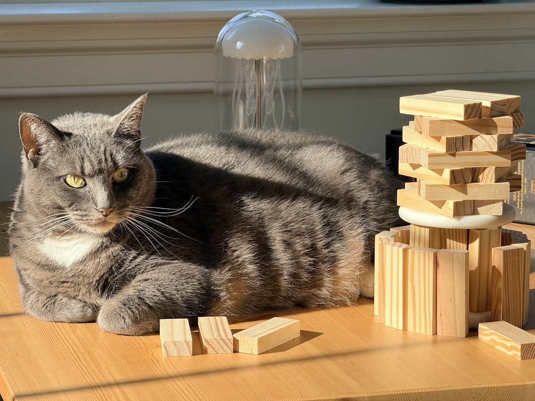 Feeding separately prevents most cat and dog conflict