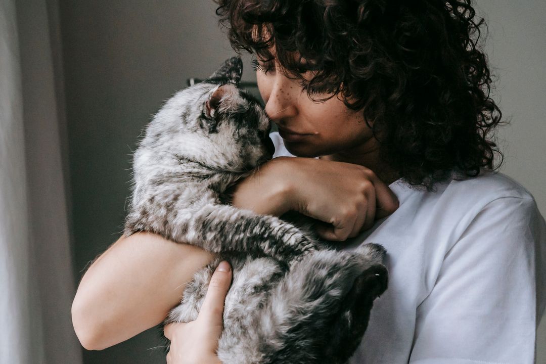 A successful adoption at a hosted event