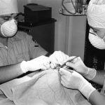 A veterinary clinic prepared for a day of community cat surgeries
