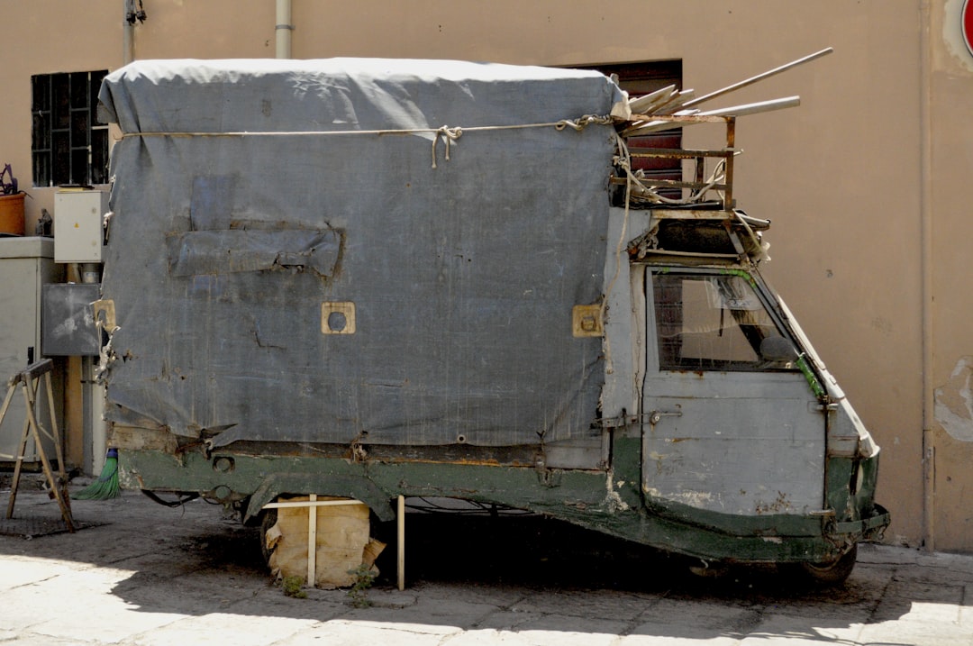 Covered traps loaded for transport to a TNR clinic