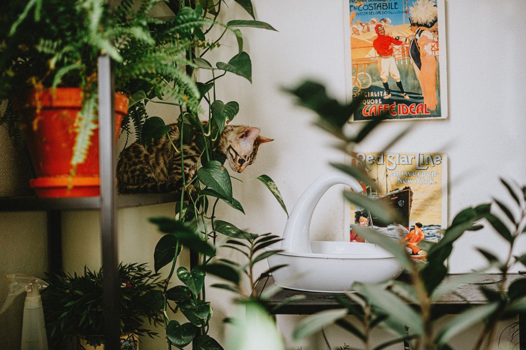 Vertical space multiplies the usable territory in a home