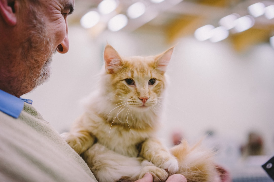 A veterinary assessment rules out treatable causes first