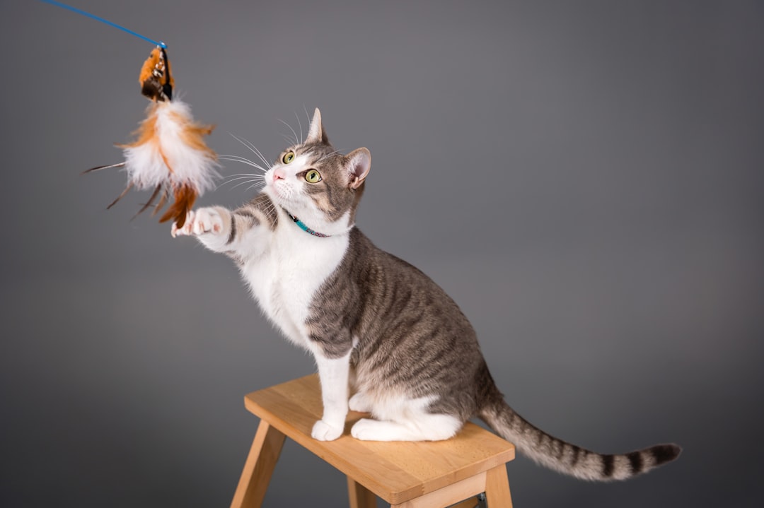 A wand toy keeps hands out of play and redirects biting