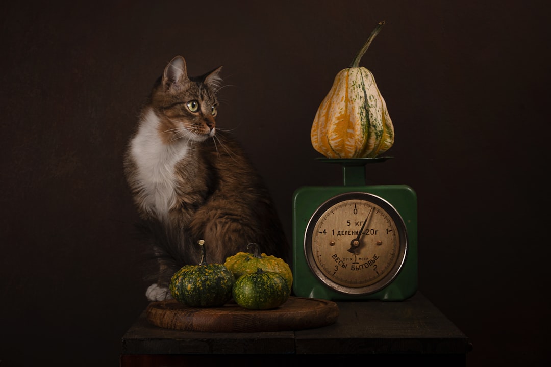 Monthly weighing catches changes that are invisible day to day