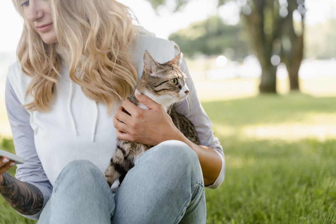 A well-matched cat settled with its owner