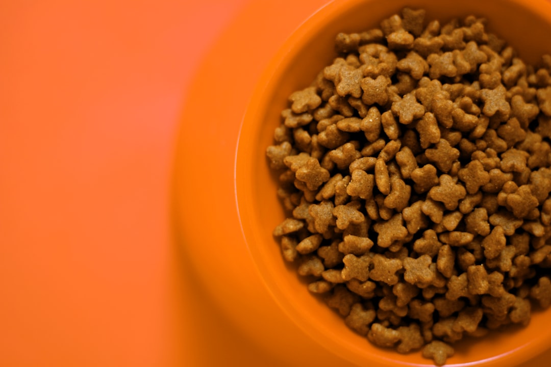 Wet food increases moisture intake and softens stool