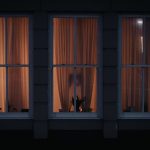 A cat alert at a window at night