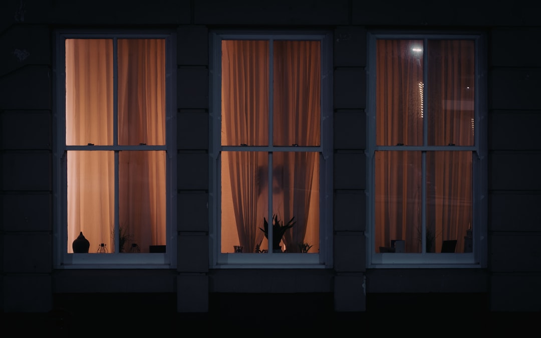 A cat alert at a window at night
